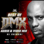 Best of DMX Mixtape by Dj Shinski