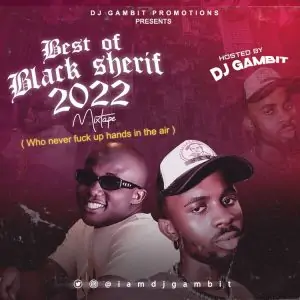 DJ Gambit – Best Of Black Sherif Mixtape