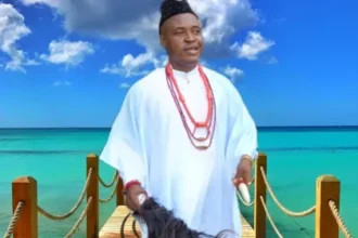 Chief Michael Udegbi –