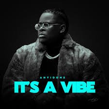 Anyidons – It’s A Vibe (Album)