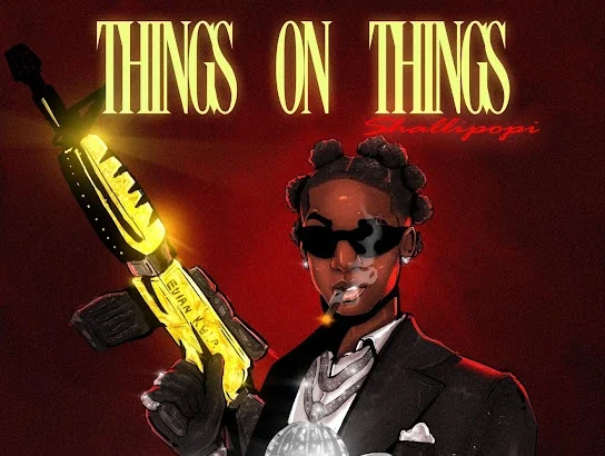 Shallipopi – Things on Things