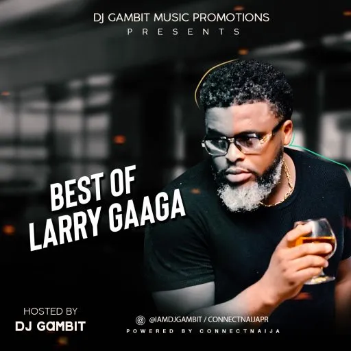 Best Of Larry Gaaga Songs DJ Mixtape
