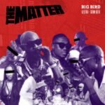 BIGBIRD - The Matter Ft. Seun Kuti & Vector