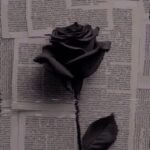 Marioo – Dear Mama